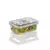 CASO Vacubox 1000ML square SALAD